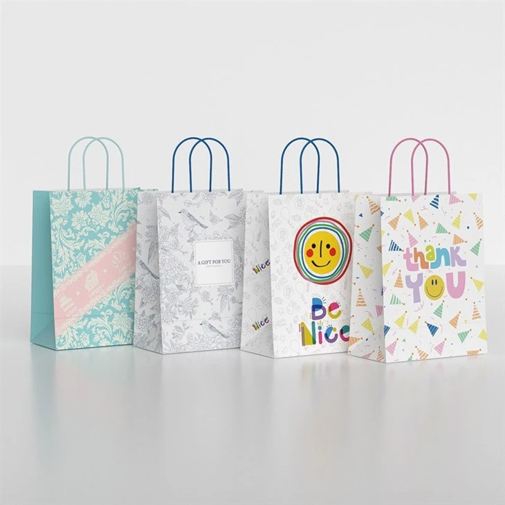 Shopping Gift Bag factory
